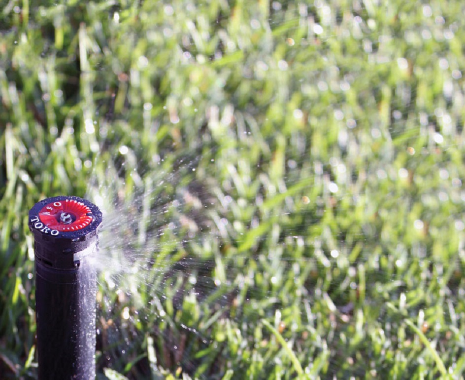 Versatile & Affordable Clothing